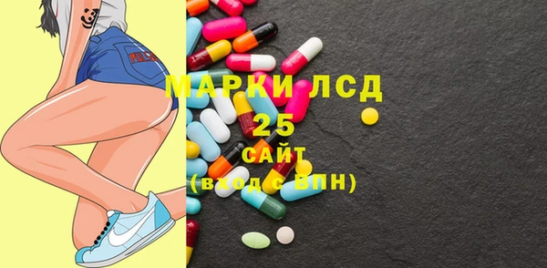 эйфоретик Няндома