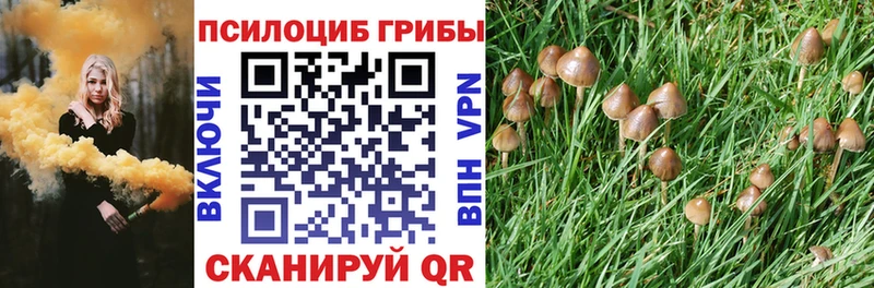 kraken ONION  Маркс  Псилоцибиновые грибы GOLDEN TEACHER 